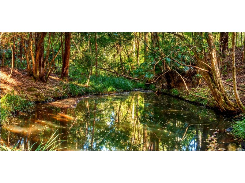 183 Soldier Settlers Road, Nambucca Heads NSW 2448