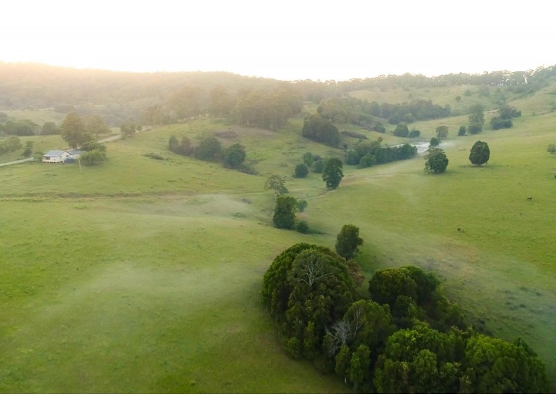 532 Newee Creek Road, Newee Creek NSW 2447