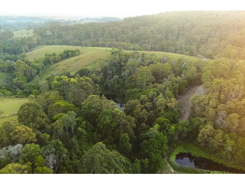 532 Newee Creek Road, Newee Creek NSW 2447