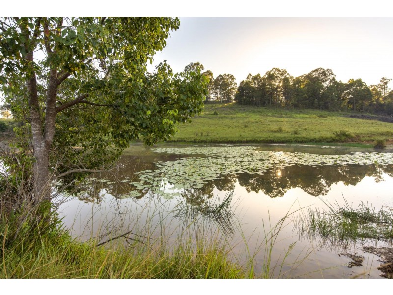 532 Newee Creek Road, Newee Creek NSW 2447