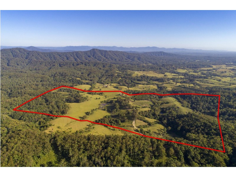 532 Newee Creek Road, Newee Creek NSW 2447