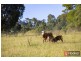 657 Newee Creek Road, Newee Creek NSW 2447
