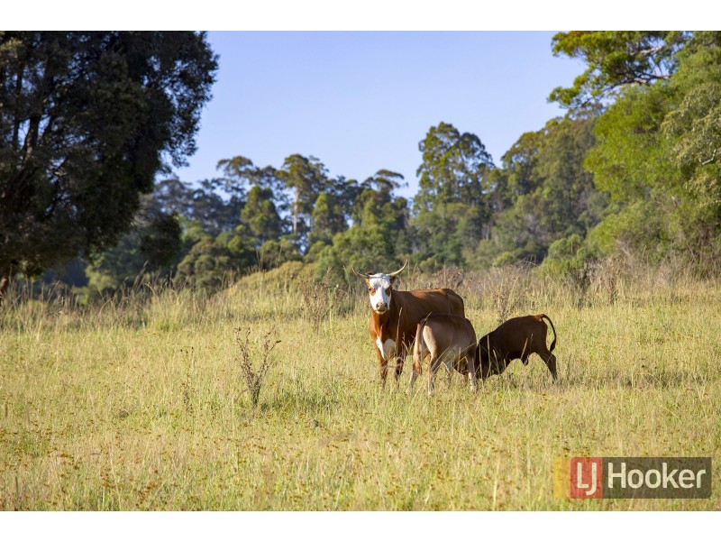 657 Newee Creek Road, Newee Creek NSW 2447
