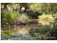 657 Newee Creek Road, Newee Creek NSW 2447