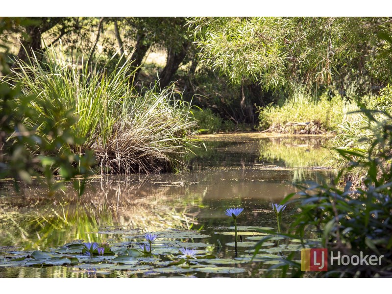 657 Newee Creek Road, Newee Creek NSW 2447