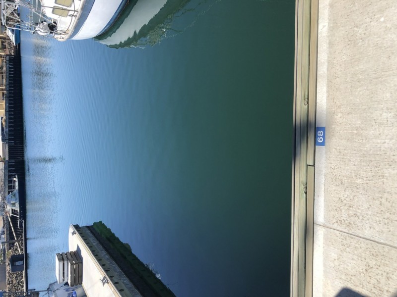 Lot D68 Refuge Cove/5a Alexa Road, North Haven SA 5018