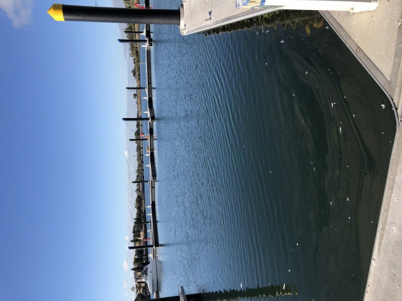 Lot C8 Precinct 1/. Wirra Drive, New Port SA 5015