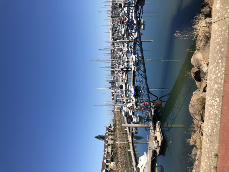 Lot D45-11.25m Ref. Cove/5a Alexa Road, North Haven SA 5018