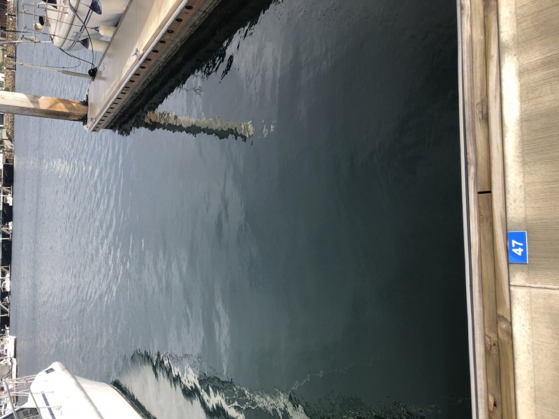 Lot D47-11.25m Ref. Cove/5a Alexa Road, North Haven SA 5018