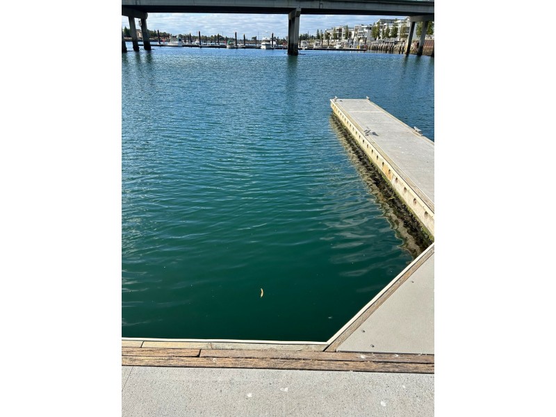 Lot A7/2a Wirra Drive, New Port SA 5015