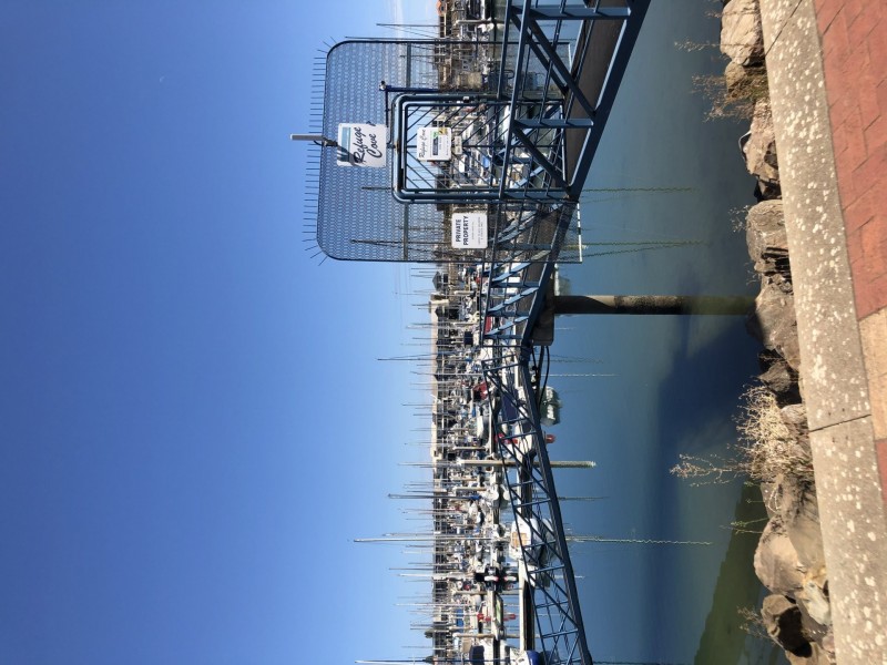 Lot D35-11.25m Ref. Cove/5a Alexa Road, North Haven SA 5018