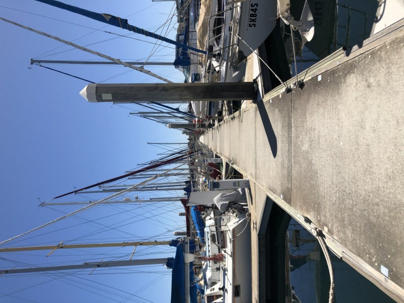 Lot D35-11.25m Ref. Cove/5a Alexa Road, North Haven SA 5018