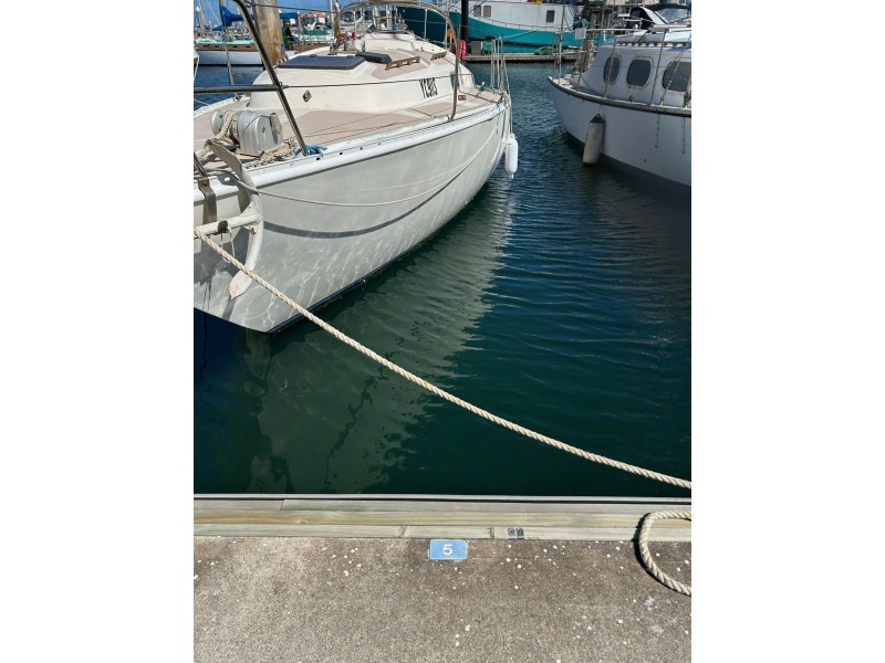 Lot D5-11.25m Ref. Cove/5a Alexa Road, North Haven SA 5018