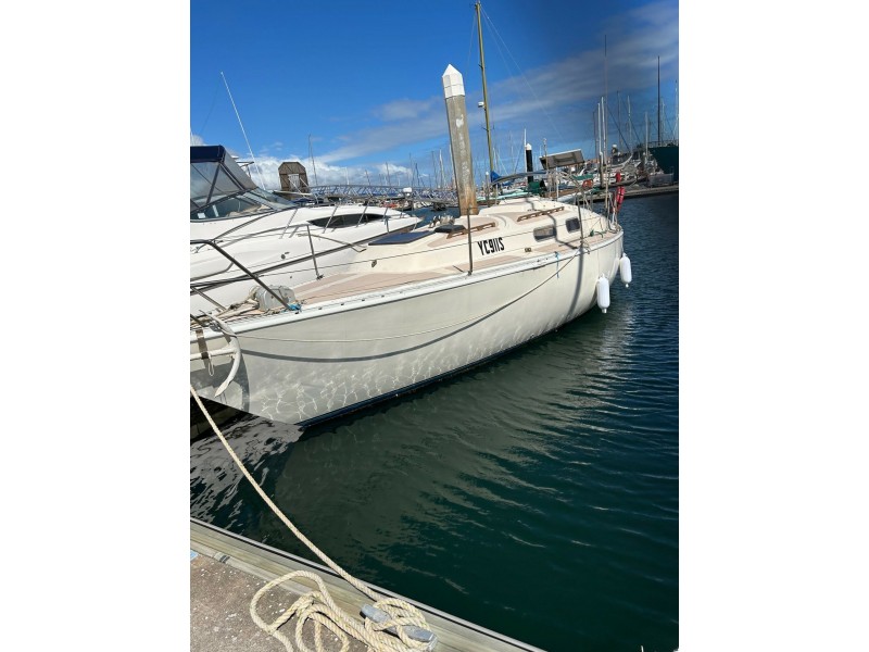 Lot D5-11.25m Ref. Cove/5a Alexa Road, North Haven SA 5018