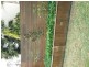Unit 9/29 South Australia One Drive, North Haven SA 5018