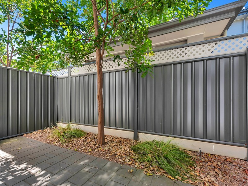4/2 Selway Street, Oaklands Park SA 5046