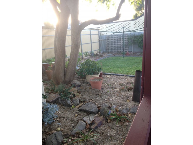 45 Wills Street, Largs Bay SA 5016