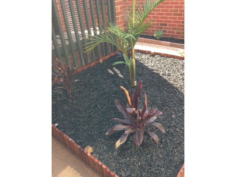 10 Sandpiper Place, West Lakes Shore SA 5020