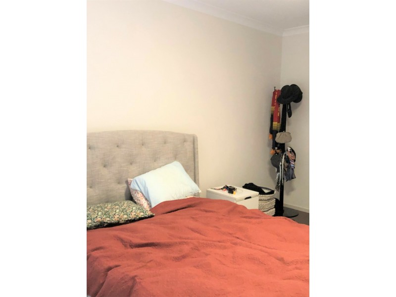 24 Markham Avenue, Enfield SA 5085