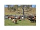 2045 Amamoor Creek Road, Amamoor Creek QLD 4570