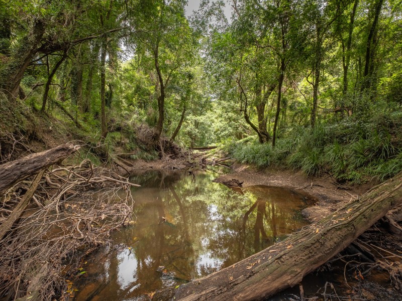 72 Delray Road, Mothar Mountain QLD 4570