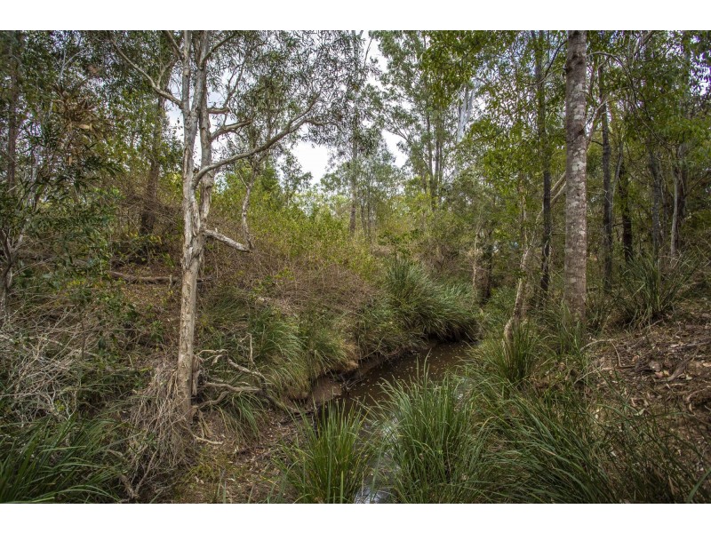 Lot 516 Arborcrescent Road, Glenwood QLD 4570