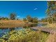 1116 Cedar Pocket Road, Cedar Pocket QLD 4570