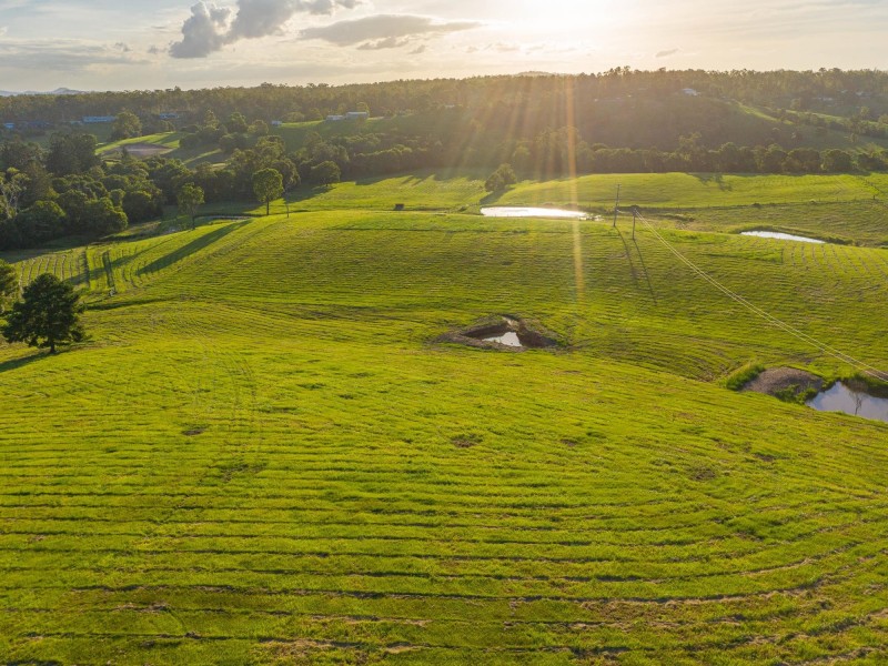 161 Tatnell Road, North Deep Creek QLD 4570