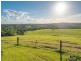 161 Tatnell Road, North Deep Creek QLD 4570