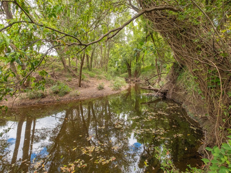 79 Silky Oak Drive, Nahrunda QLD 4570