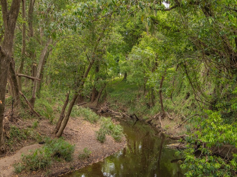 79 Silky Oak Drive, Nahrunda QLD 4570