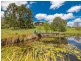 134 Allen Road, Chatsworth QLD 4570
