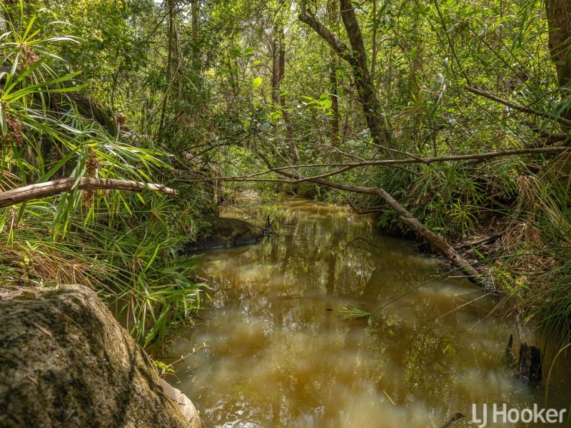 62 Felicity Road, The Palms QLD 4570