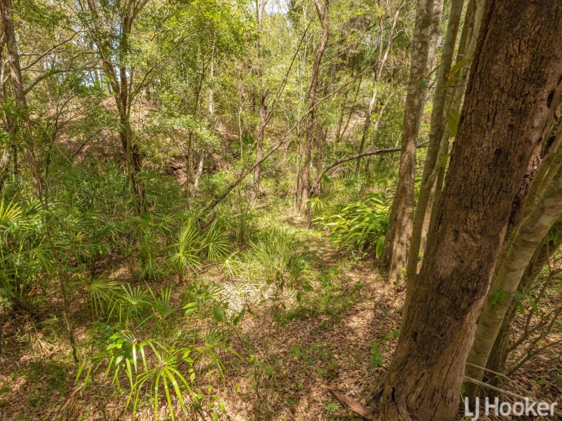 62 Felicity Road, The Palms QLD 4570