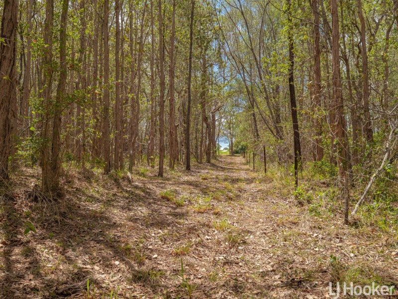 62 Felicity Road, The Palms QLD 4570