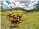 825 North Deep Creek Road, North Deep Creek QLD 4570