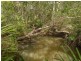 825 North Deep Creek Road, North Deep Creek QLD 4570