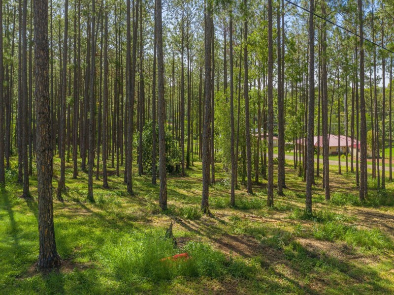 Lot 140 Andrew Road, Glenwood QLD 4570
