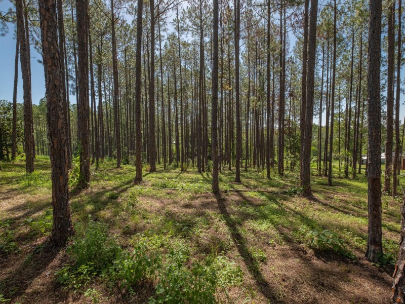 Lot 140 Andrew Road, Glenwood QLD 4570