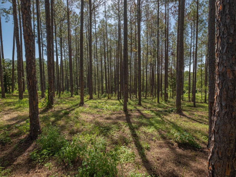 Lot 140 Andrew Road, Glenwood QLD 4570