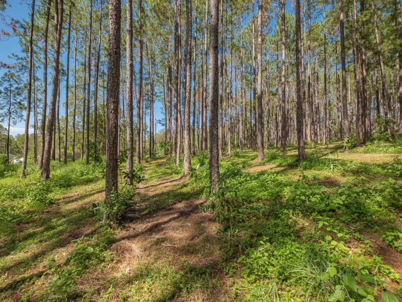 Lot 140 Andrew Road, Glenwood QLD 4570