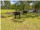 280 Tinana Road, Goomboorian QLD 4570