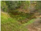 281 Burridge Road, Tandur QLD 4570