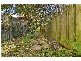 122 Gowrie Street, Newtown NSW 2042