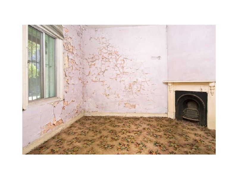 26 Wilford Street, Newtown NSW 2042