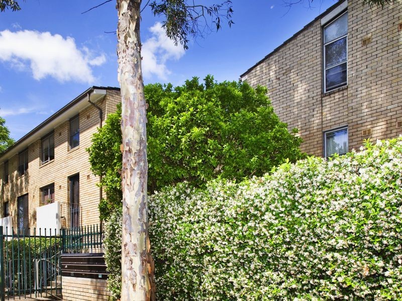 11/9-17 Newton Street, Alexandria NSW 2015