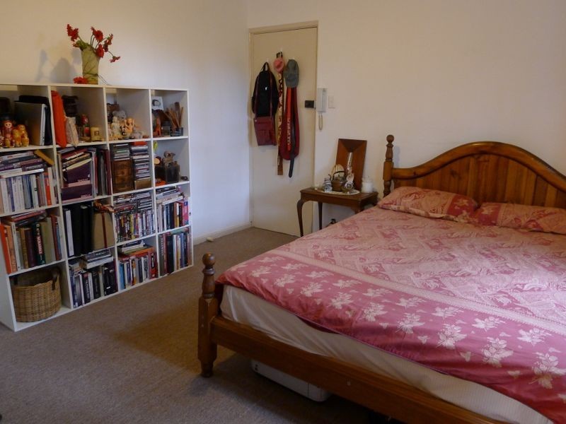 3/119 Probert Street, Newtown NSW 2042