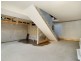 17 Park Lane, Newtown NSW 2042