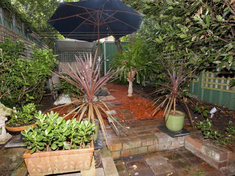 19 Elswick Street, Petersham NSW 2049