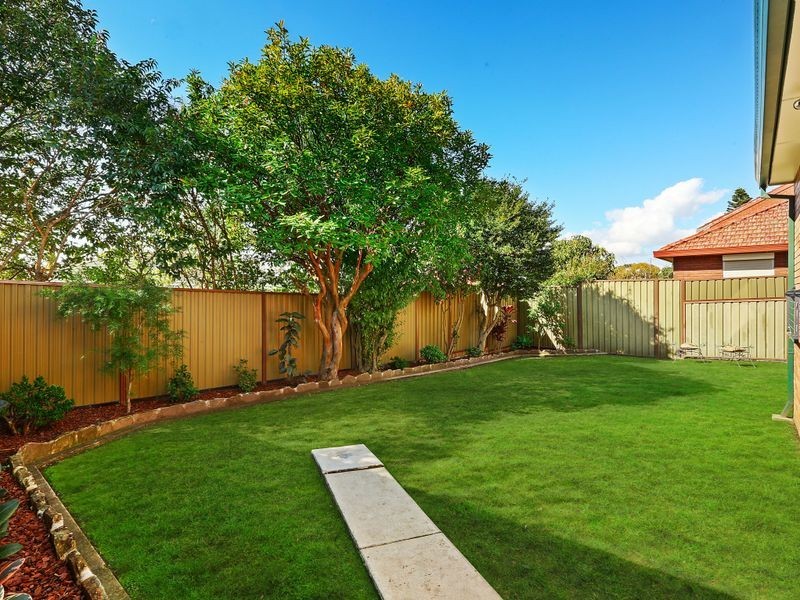 8 Wiggins Avenue, Beverly Hills NSW 2209